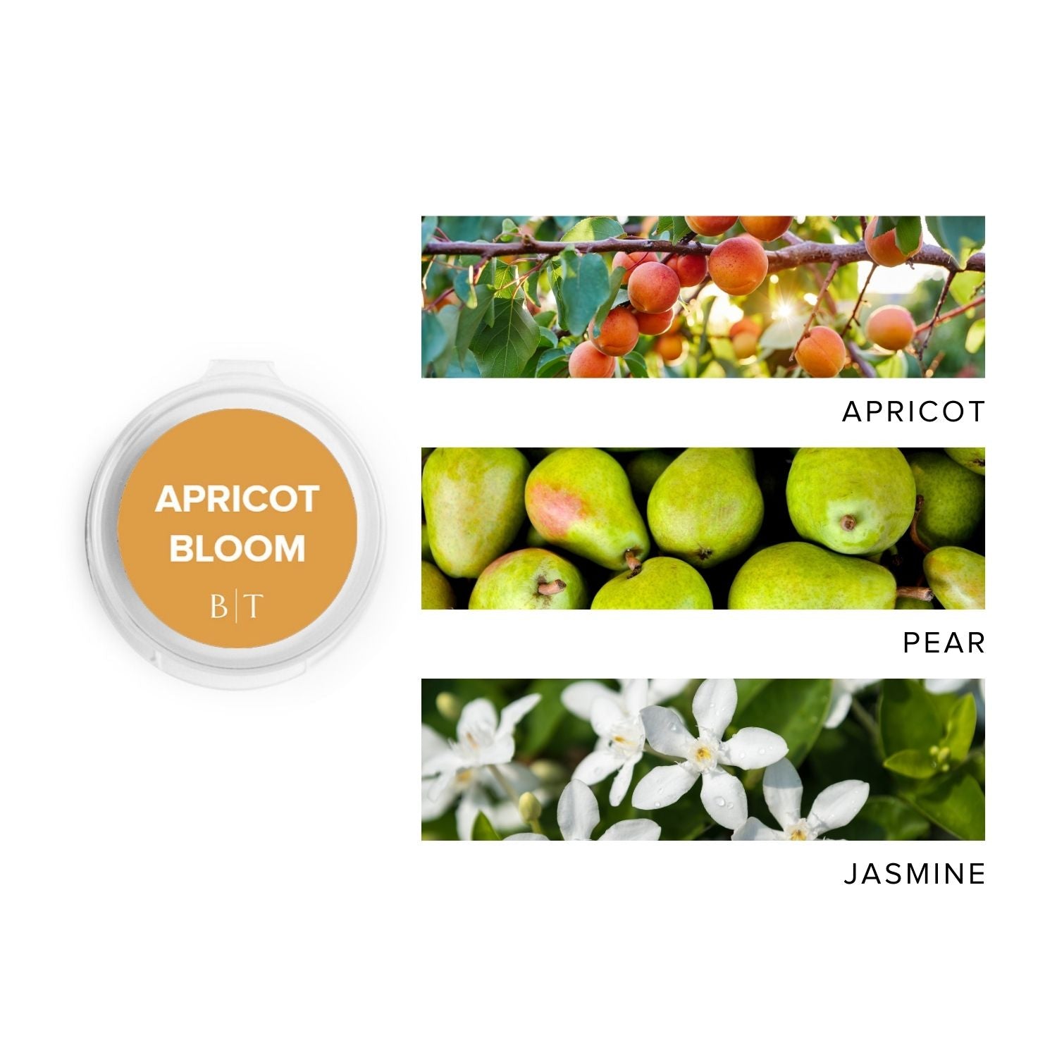 Apricot Bloom Scent Sample next to scent note images of apricot, pear, and jasmine.