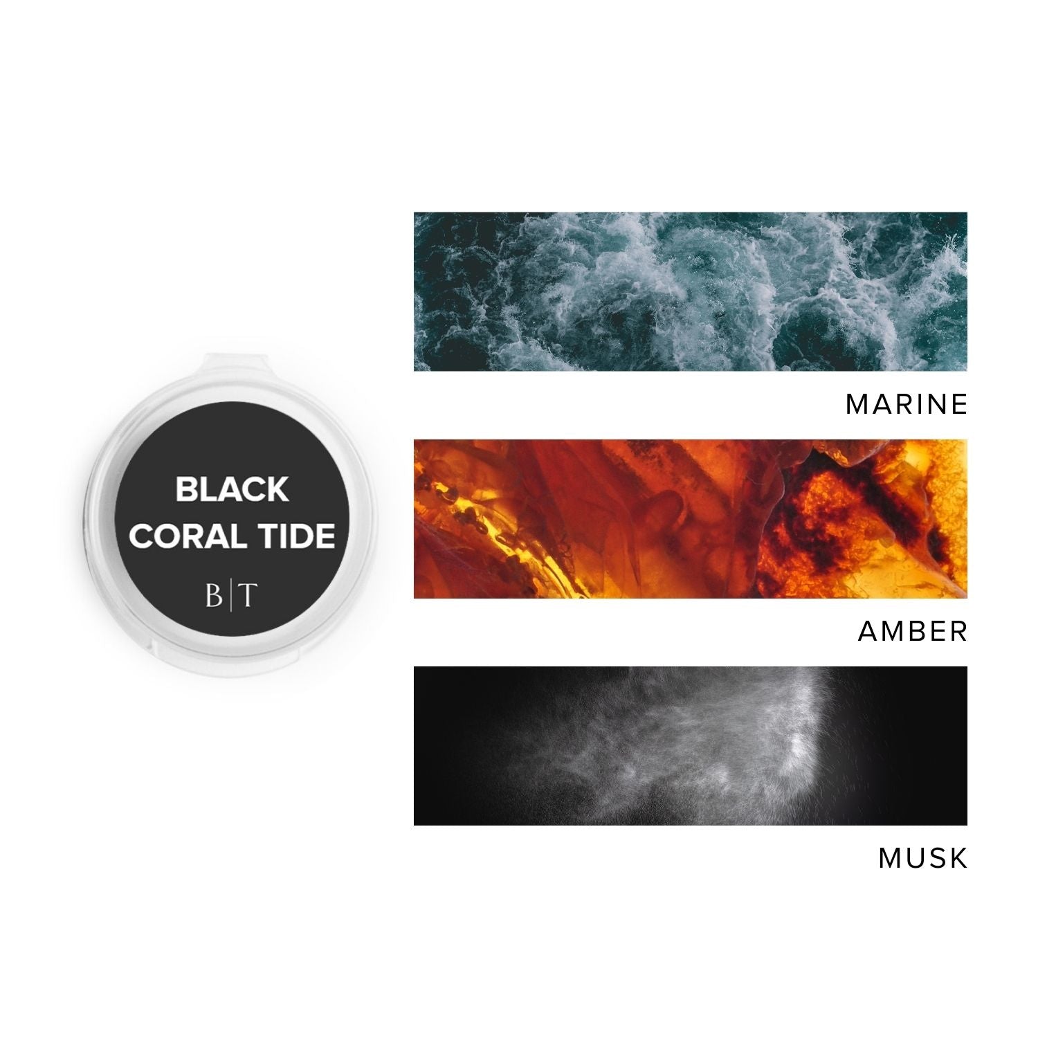 Black Coral Tide Scent Sample next to scent note images of marine, amber, and musk.