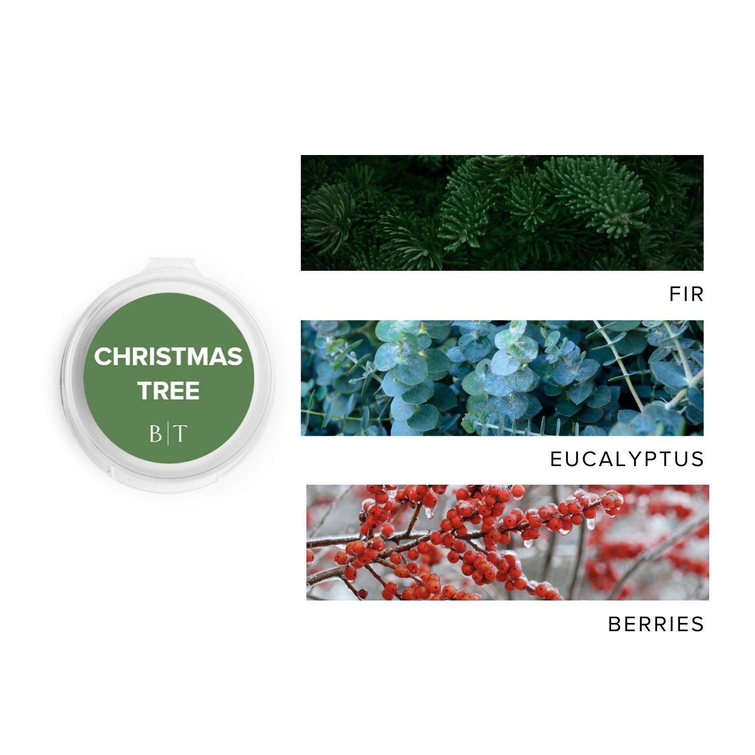 Christmas Tree Scent Sample next to scent note images of fir, eucalyptus, and berries.