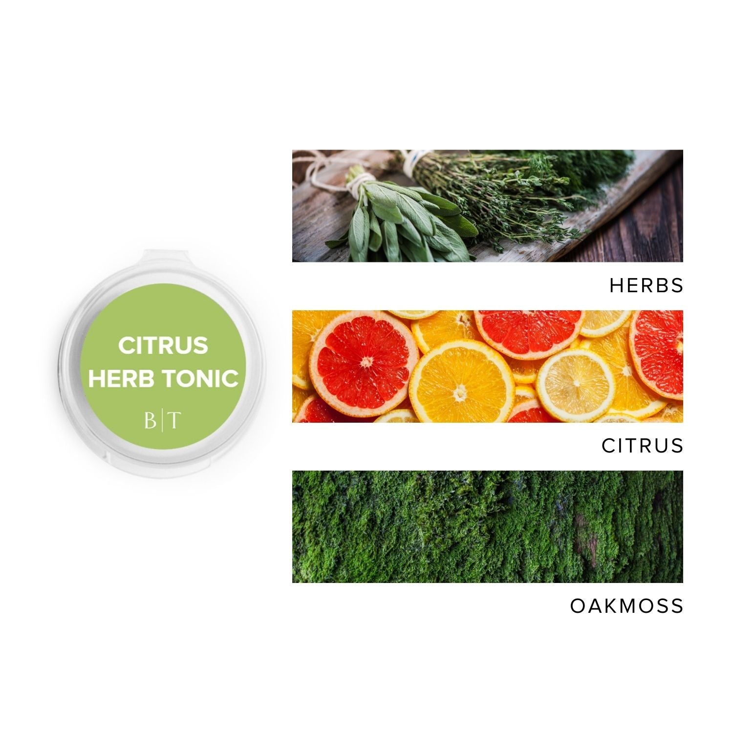 Citrus Herbed Tonic Scent Sample next to scent note images of herbs, citrus, and oakmoss.