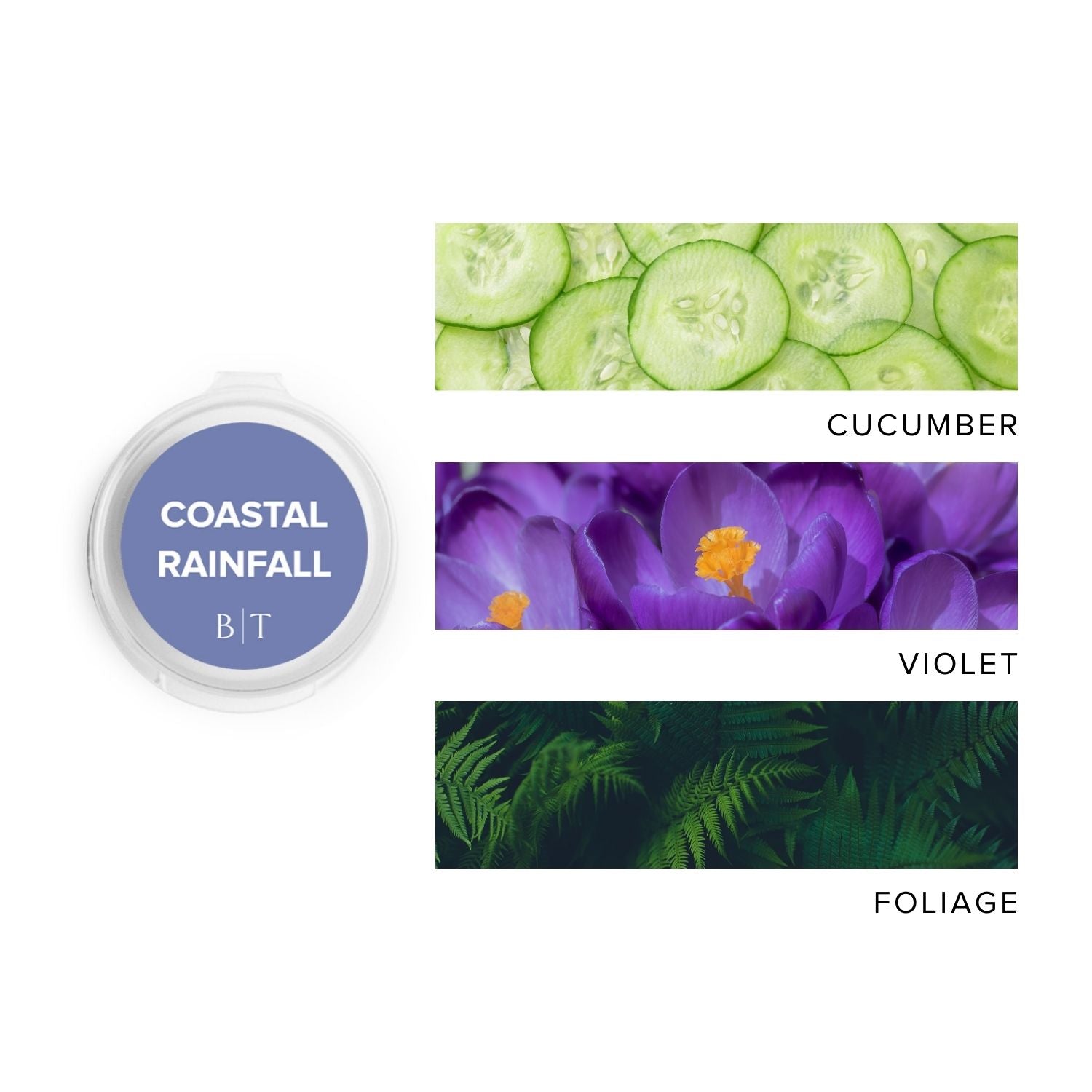 Coastal Rainfall Scent Sample next to scent note images of cucumber, violet, and foliage.