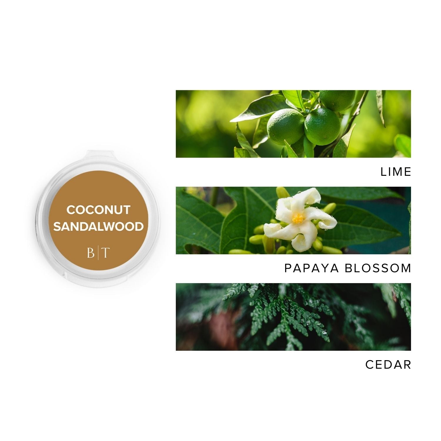 Coconut Sandalwood Scent Sample next to scent note images of lime, papaya blossom, and cedar.