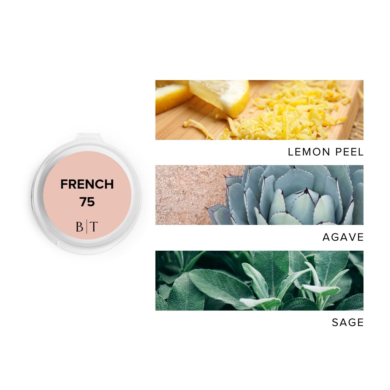 French 75 Scent Sample next to scent note images of lemon peel, agave, and sage.