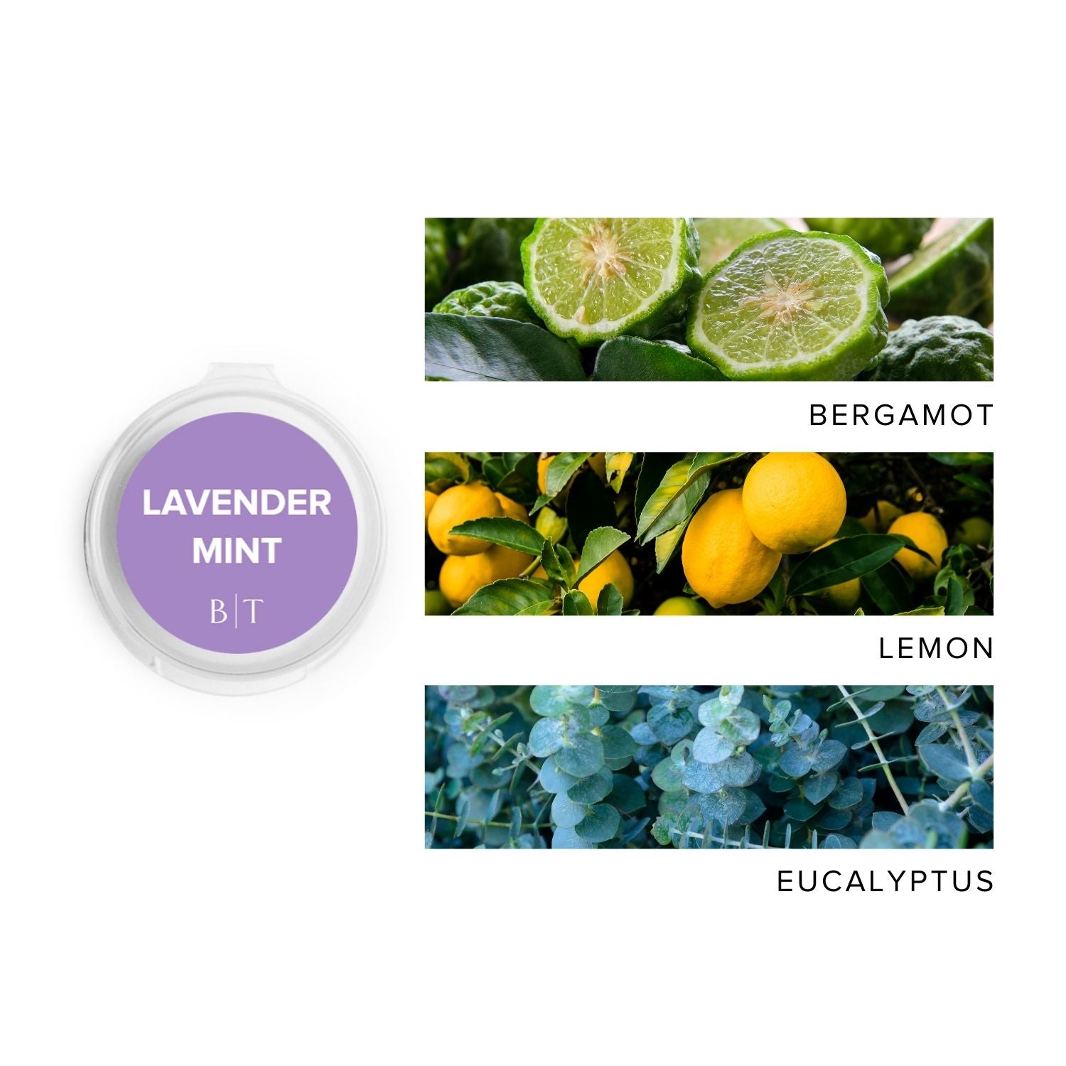 Lavender Mint Scent Sample next to scent note images of bergamot, lemon, and eucalyptus.