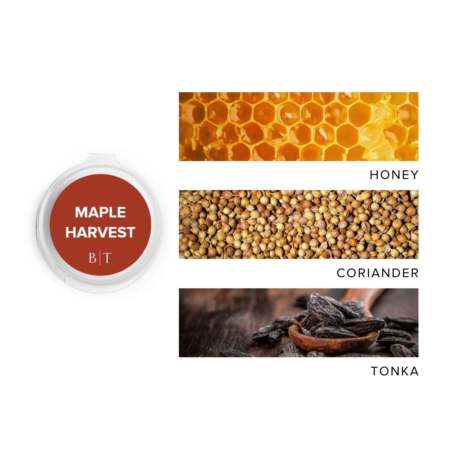 Maple Harvest Scent Sampler next to scent note images of honey, coriander & tonka.