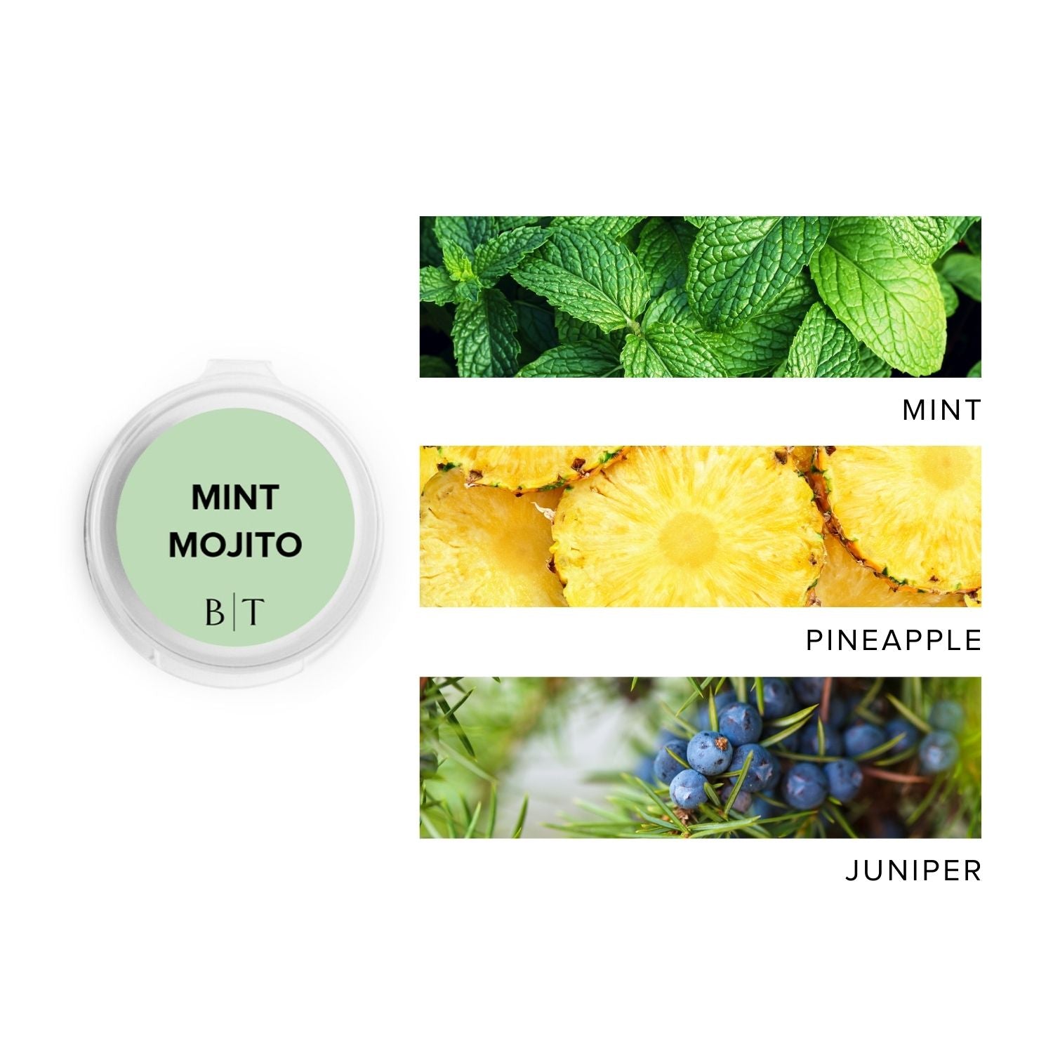 Mint Mojito Scent Sample next to scent note images of mint, pineapple, and juniper.