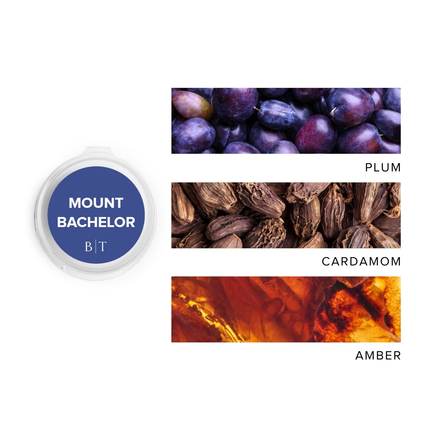 Mount Bachelor Scent Sample next to scent note images of plum, cardamom, and amber.