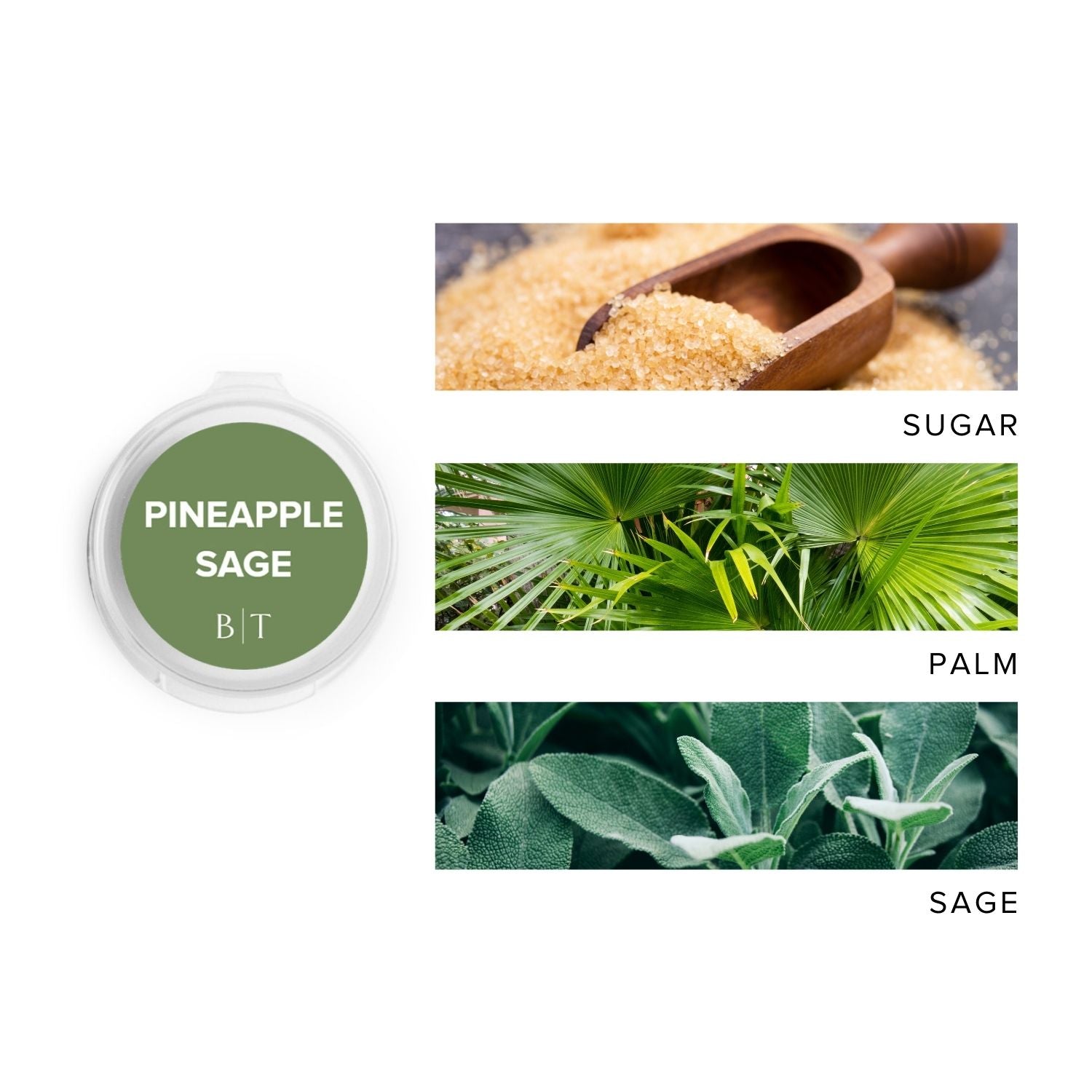 Pineapple Sage Scent Sample next to scent note images of sugar, palm, and sage.