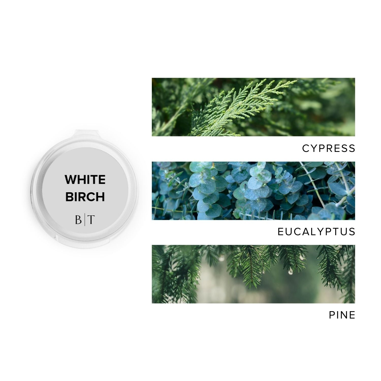 White Birch Scent Sample next to scent note images of cypress, eucalyptus, and pine.