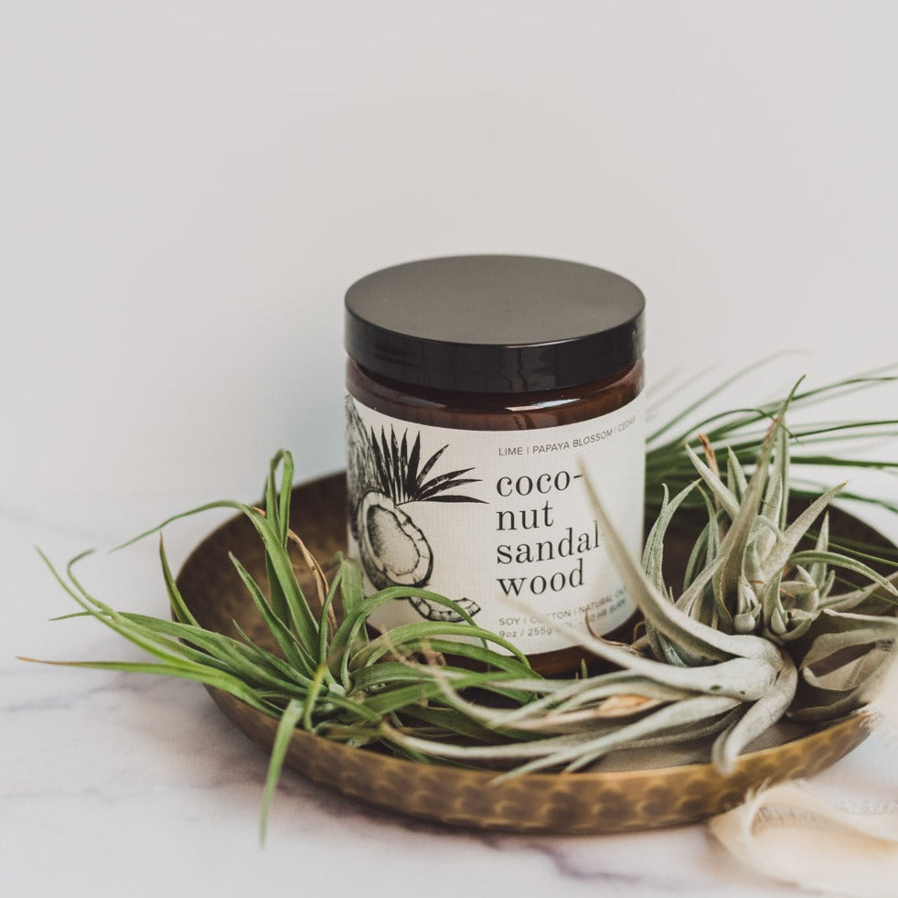 9oz Coconut Sandalwood candle on white counter surrounded by foliage