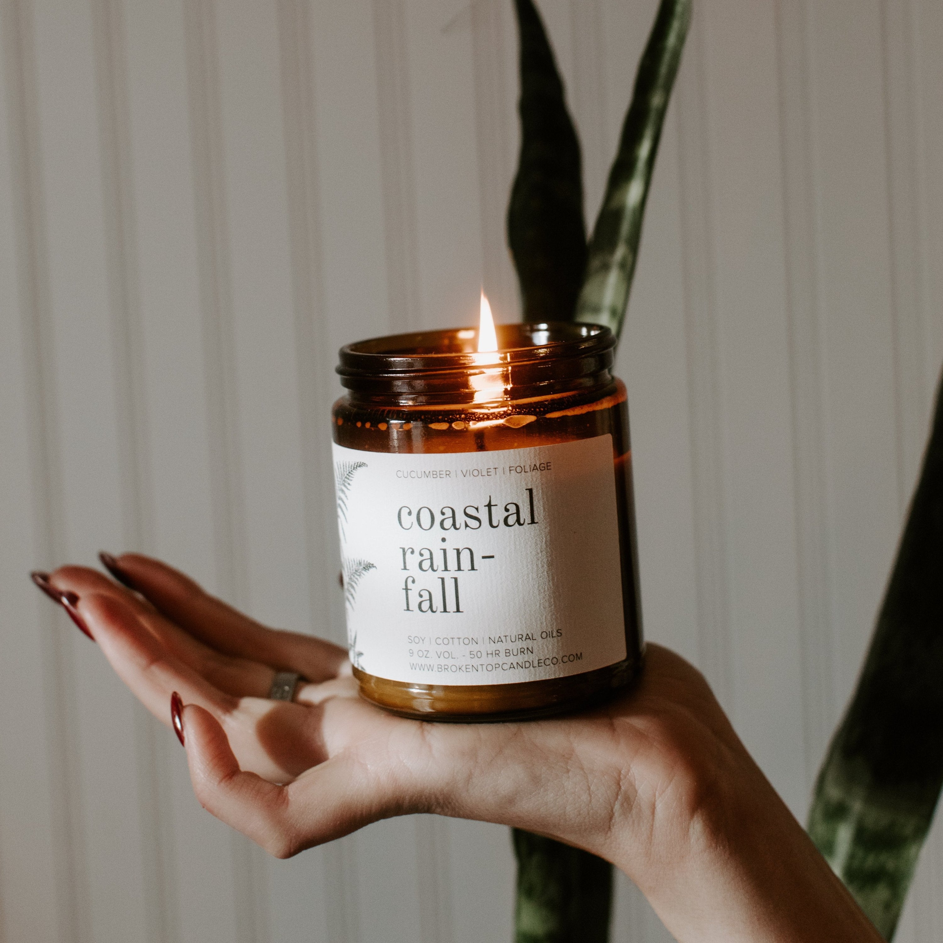 9oz Coastal Rainfall candle held by women's hand