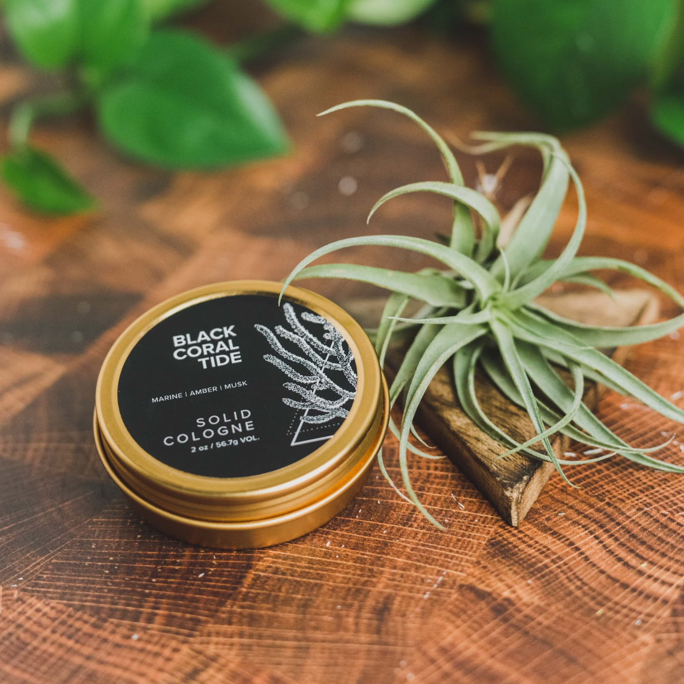Black Coral Tide solid cologne on wooden table next greenery