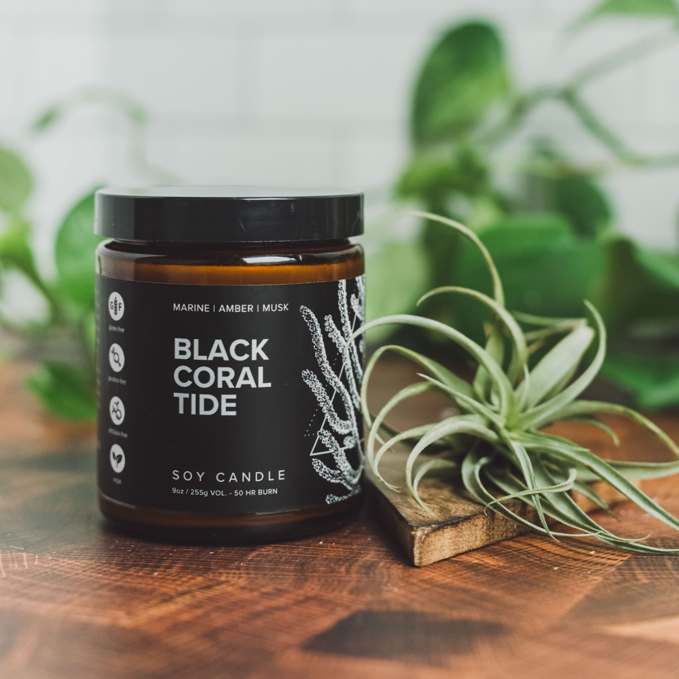 9oz Black Coral Tide candle on wooden counter next to green foliage