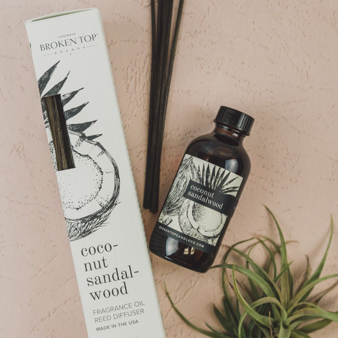 Coconut Sandalwood Reed diffuser and box on pink background next to green decor