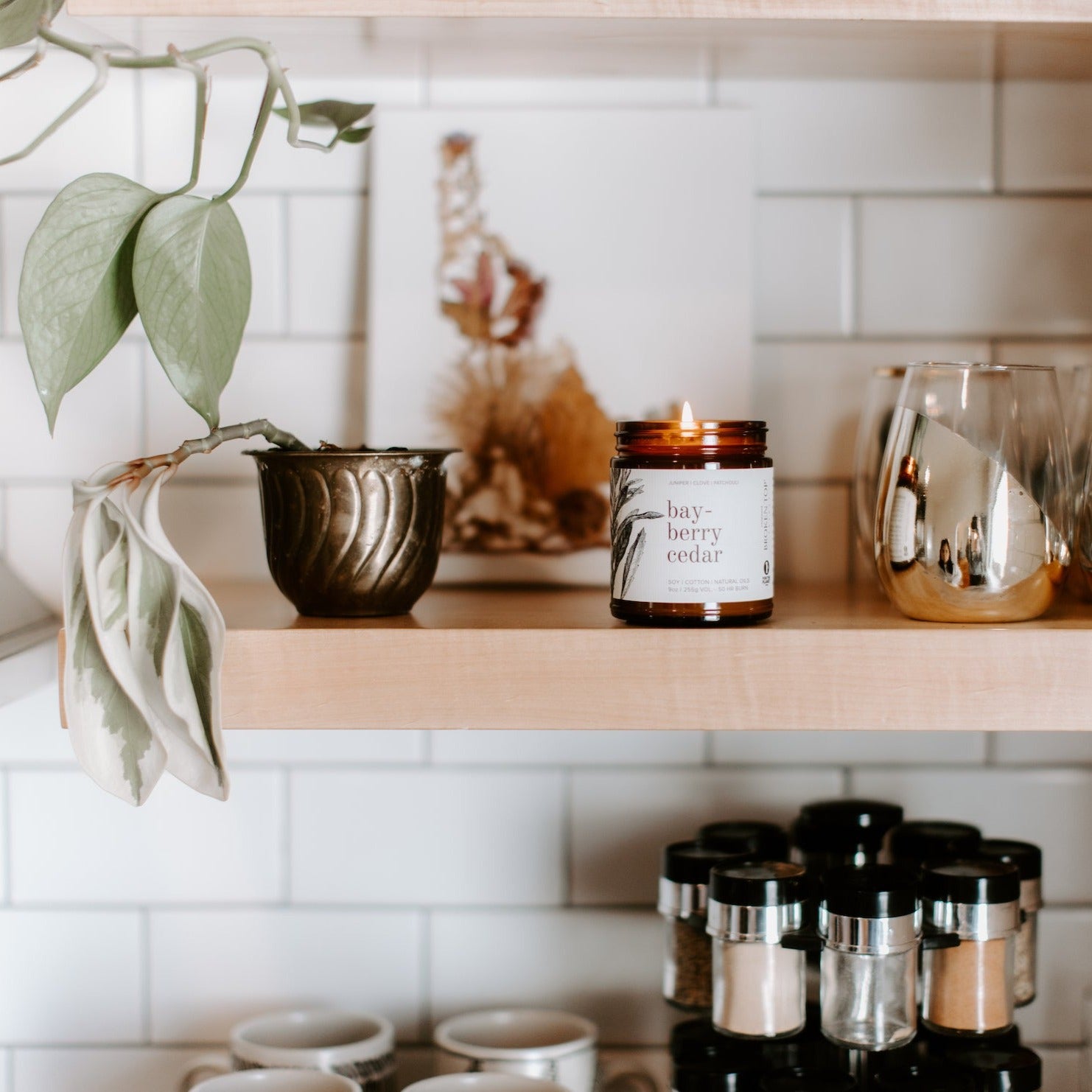 9oz Bayberry Cedar candle on a kitchen shelf next to a plant