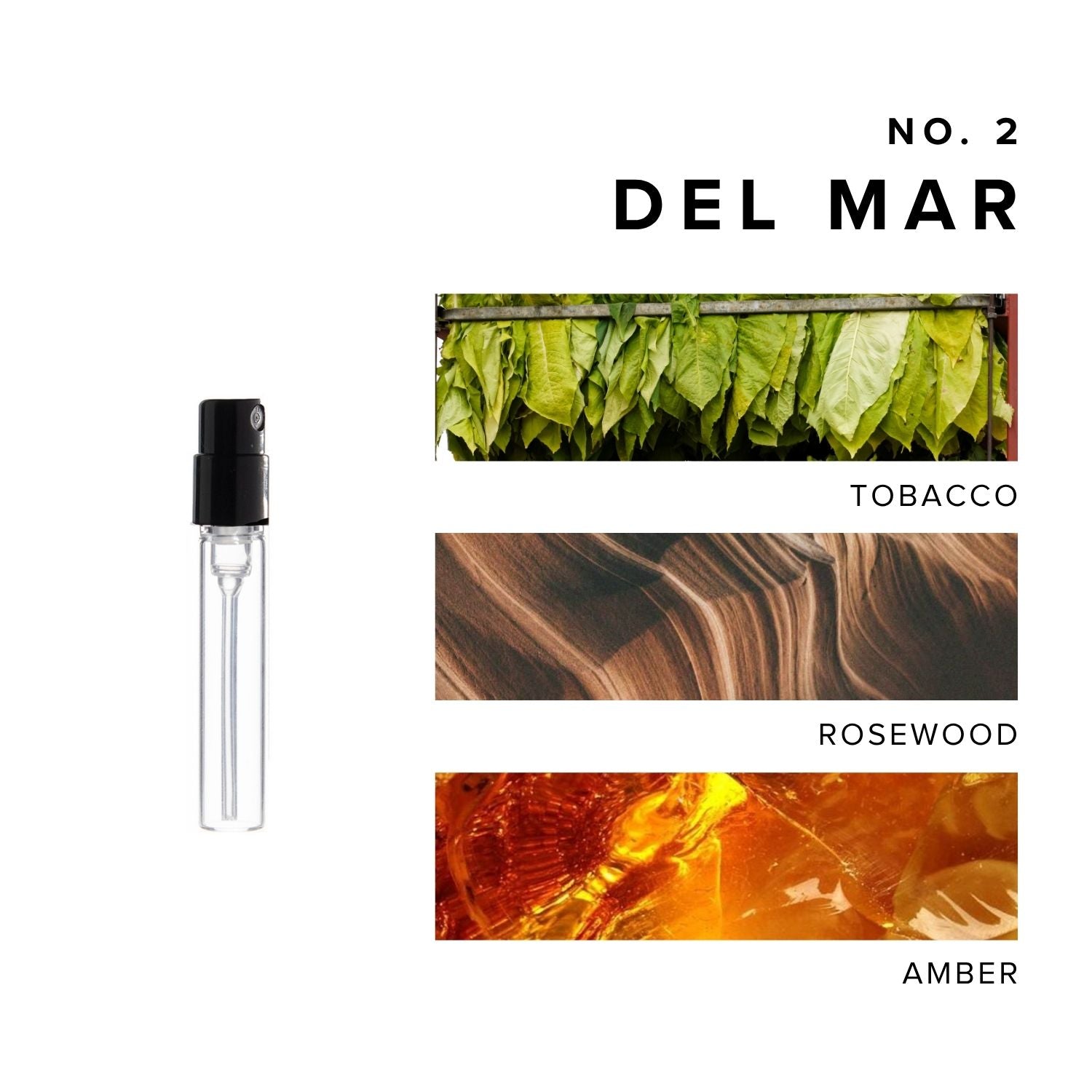 Del Mar Perfume Sample with images of scent notes tobacco, rosewood, and amber.