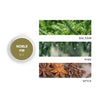 Noble Fir Scent Sample next to scent note images of balsam, pine, and spice. 
