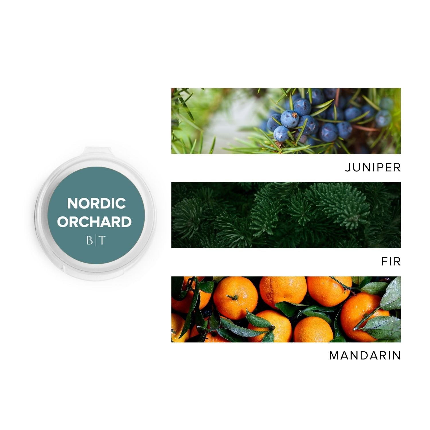Nordic Orchard Scent Sampler next to scent note images of juniper, fir, and mandarin. 