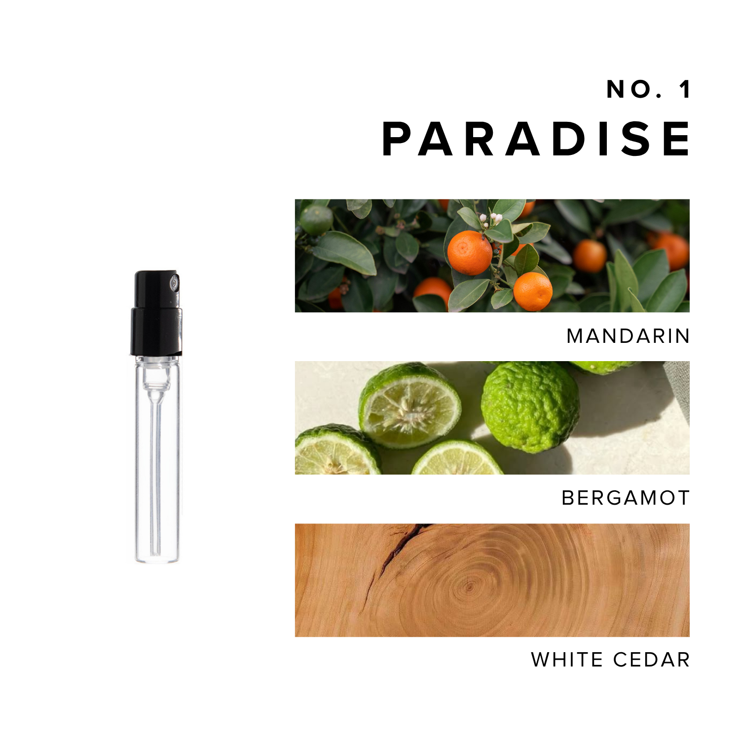 Paradise Perfume Sample with images of scent notes mandarin, bergamot, and white cedar. 