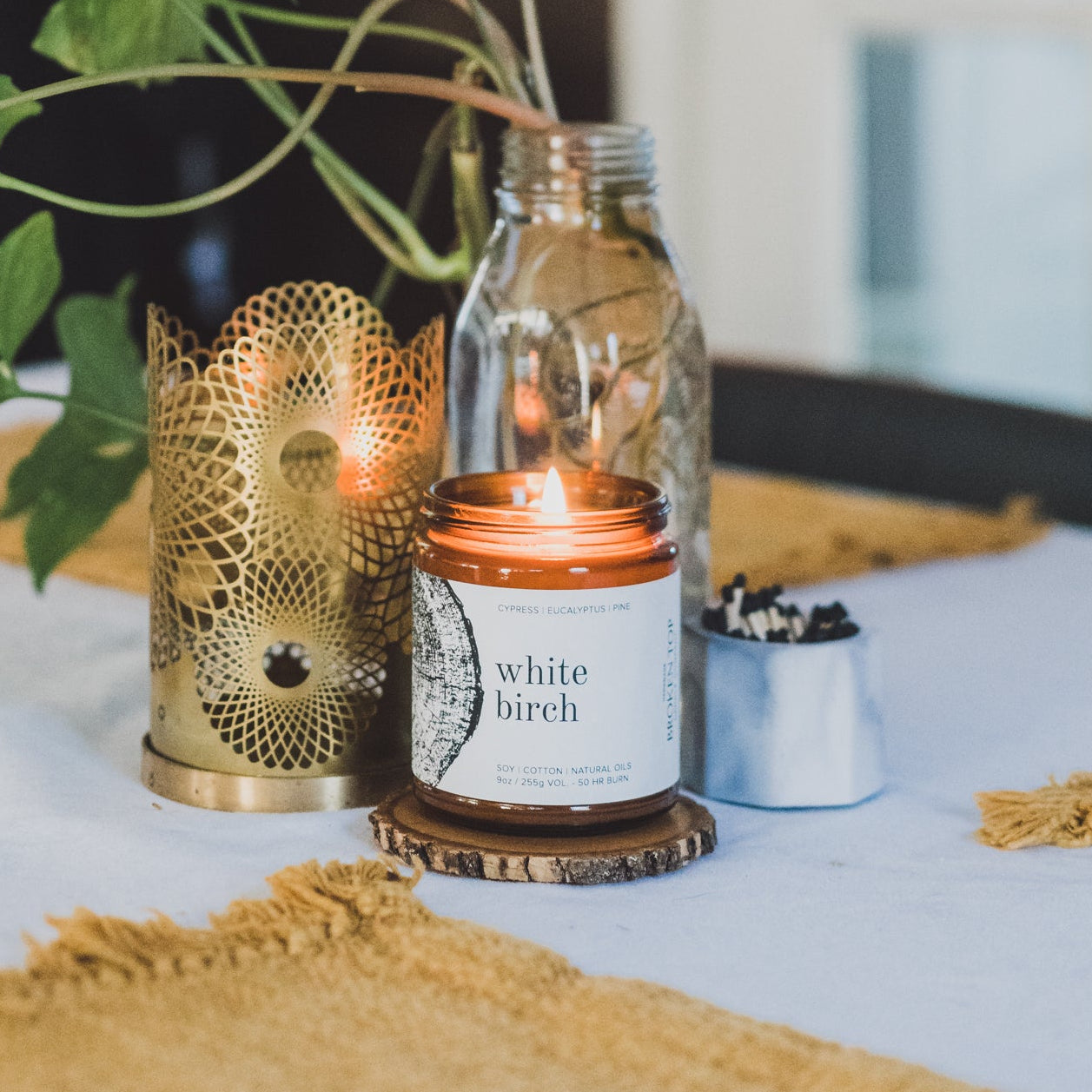 9oz White Birch Soy Candles